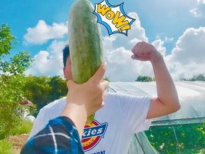 更多网红吃瓜爆料群,揭秘娱乐圈幕后真相