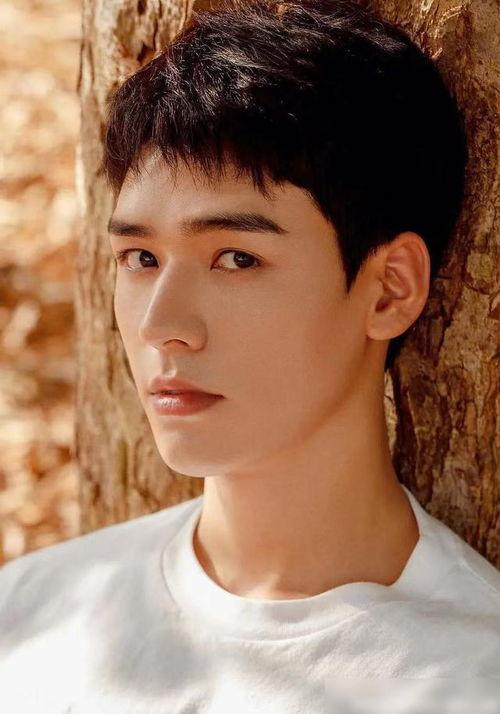 娱乐圈吃瓜群龚俊,娱乐圈吃瓜群中的焦点人物