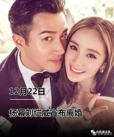 娱乐圈吃瓜内容大全